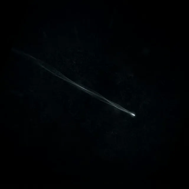 Neutrino
